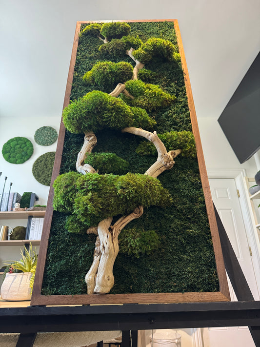 Bonsai Tree Moss Art Frame