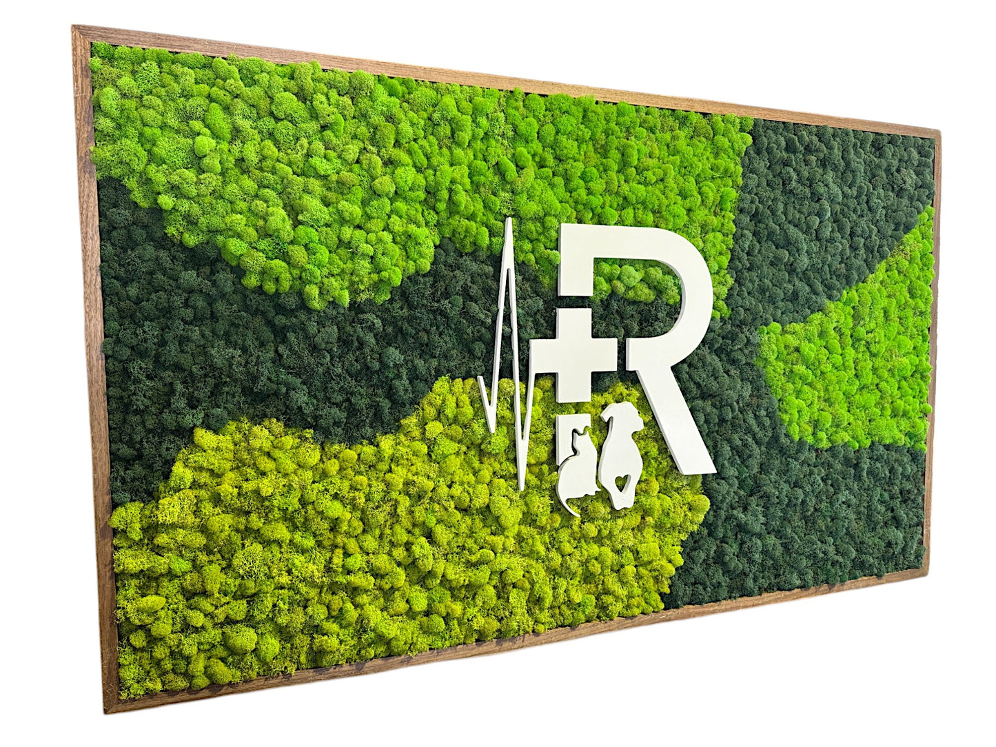 Custom Business Logo (Multicolor Reindeer Moss) Moss Art Frame