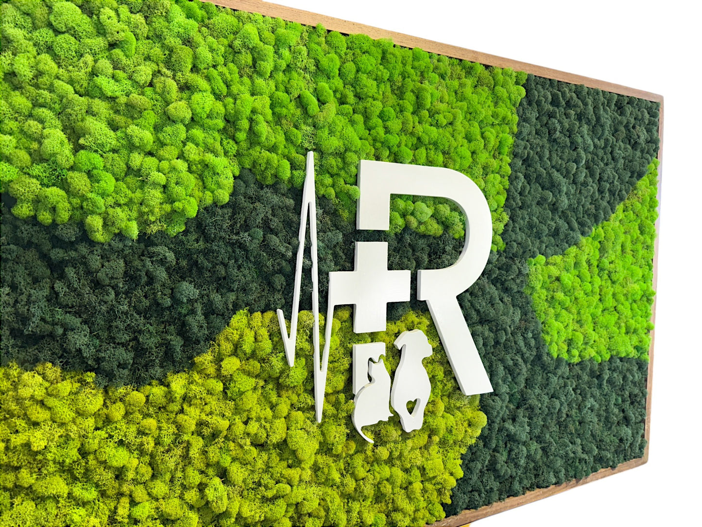 Custom Business Logo (Multicolor Reindeer Moss) Moss Art Frame