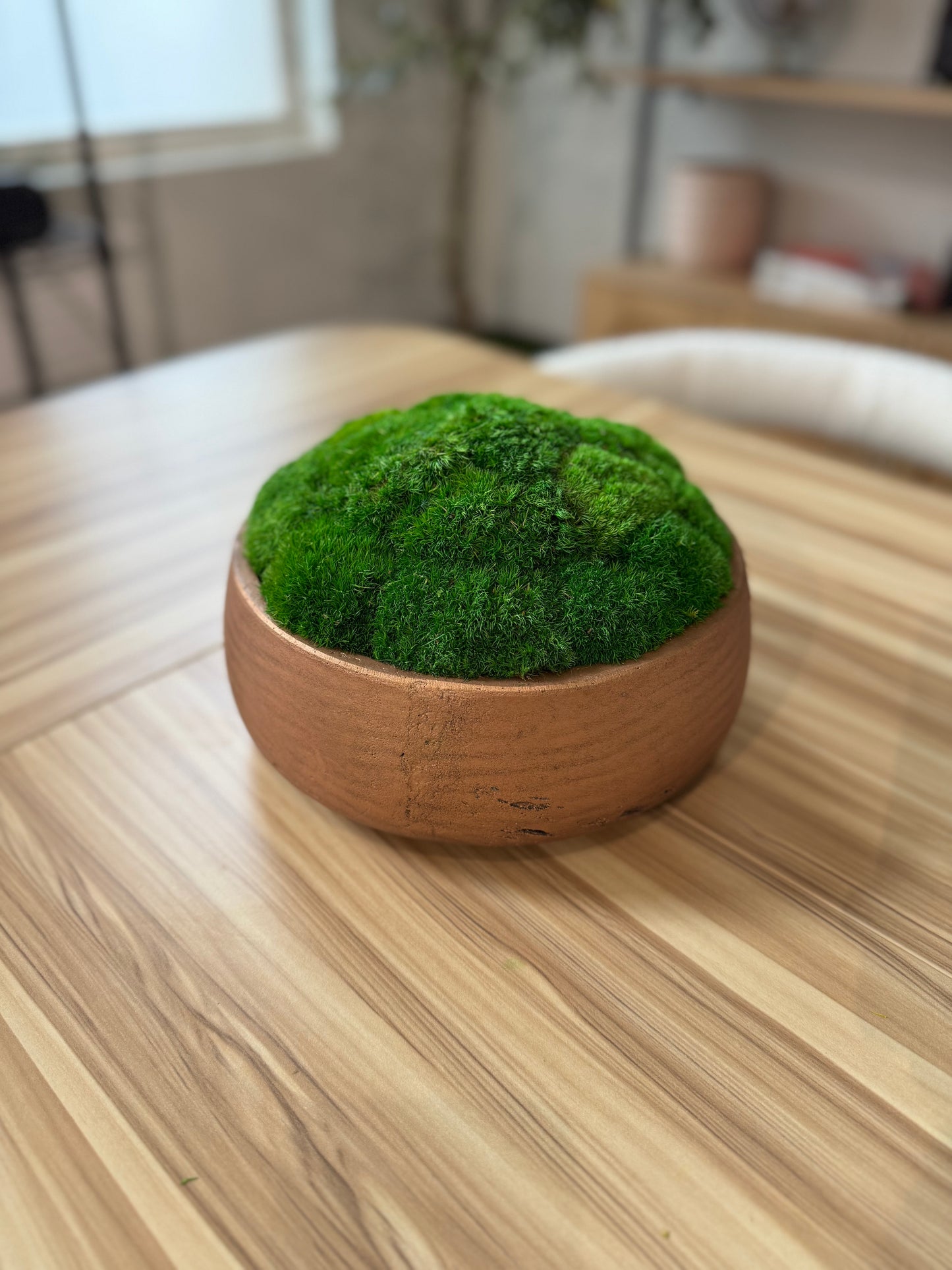 9.5" Round Rose Gold Moss Bowl (Medium Green)