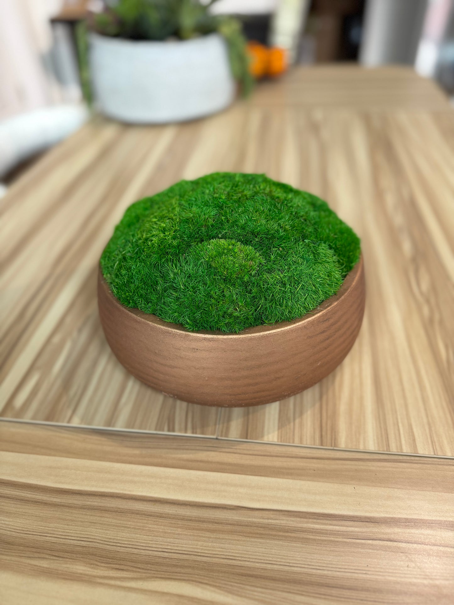 9.5" Round Rose Gold Moss Bowl (Medium Green)