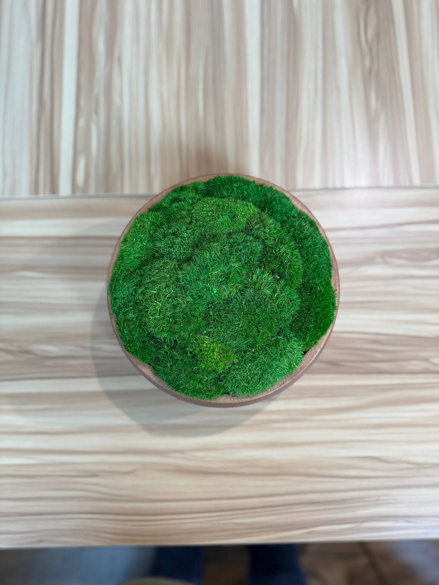9.5" Round Rose Gold Moss Bowl (Medium Green)