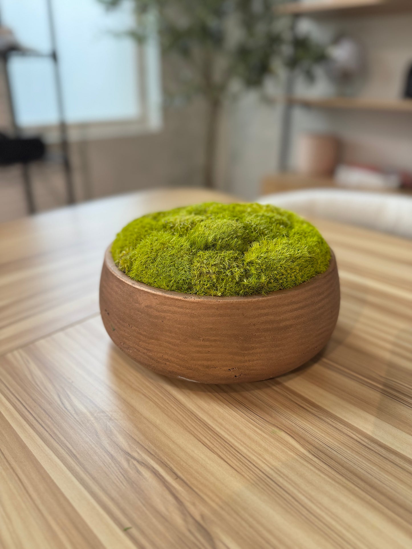 9.5" Round Rose Gold Moss Bowl (Light Green)