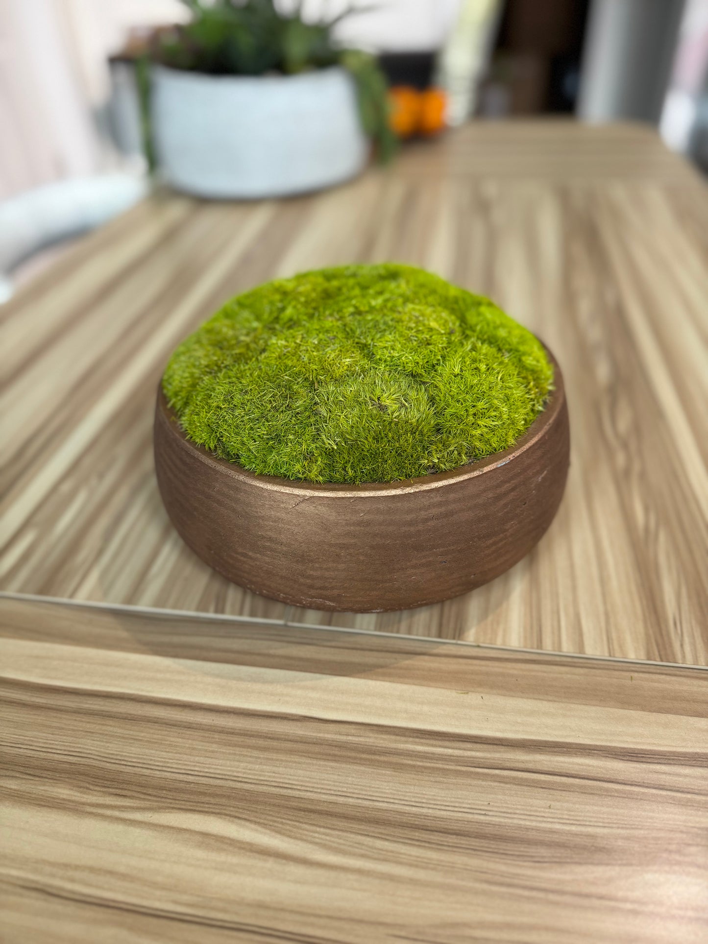 9.5" Round Rose Gold Moss Bowl (Light Green)