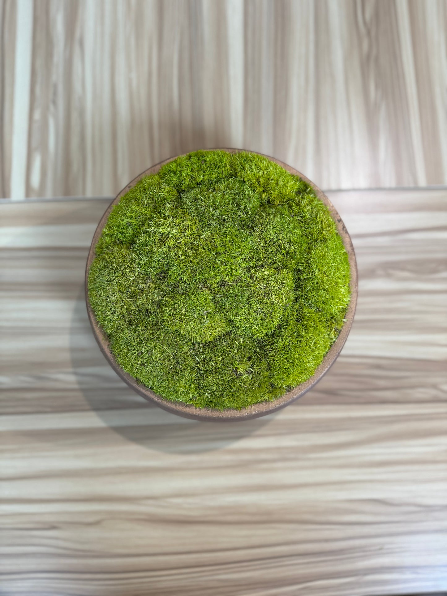 9.5" Round Rose Gold Moss Bowl (Light Green)