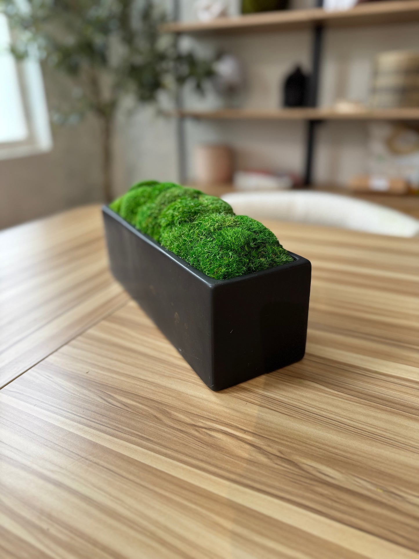 12x4x4" Black Planter Moss Bowl