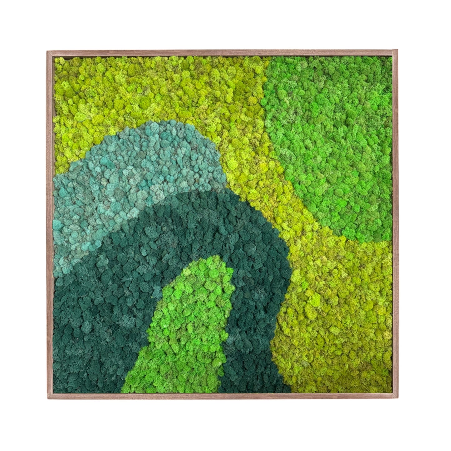 Wavey Stream Moss Art Frame (One Piece)