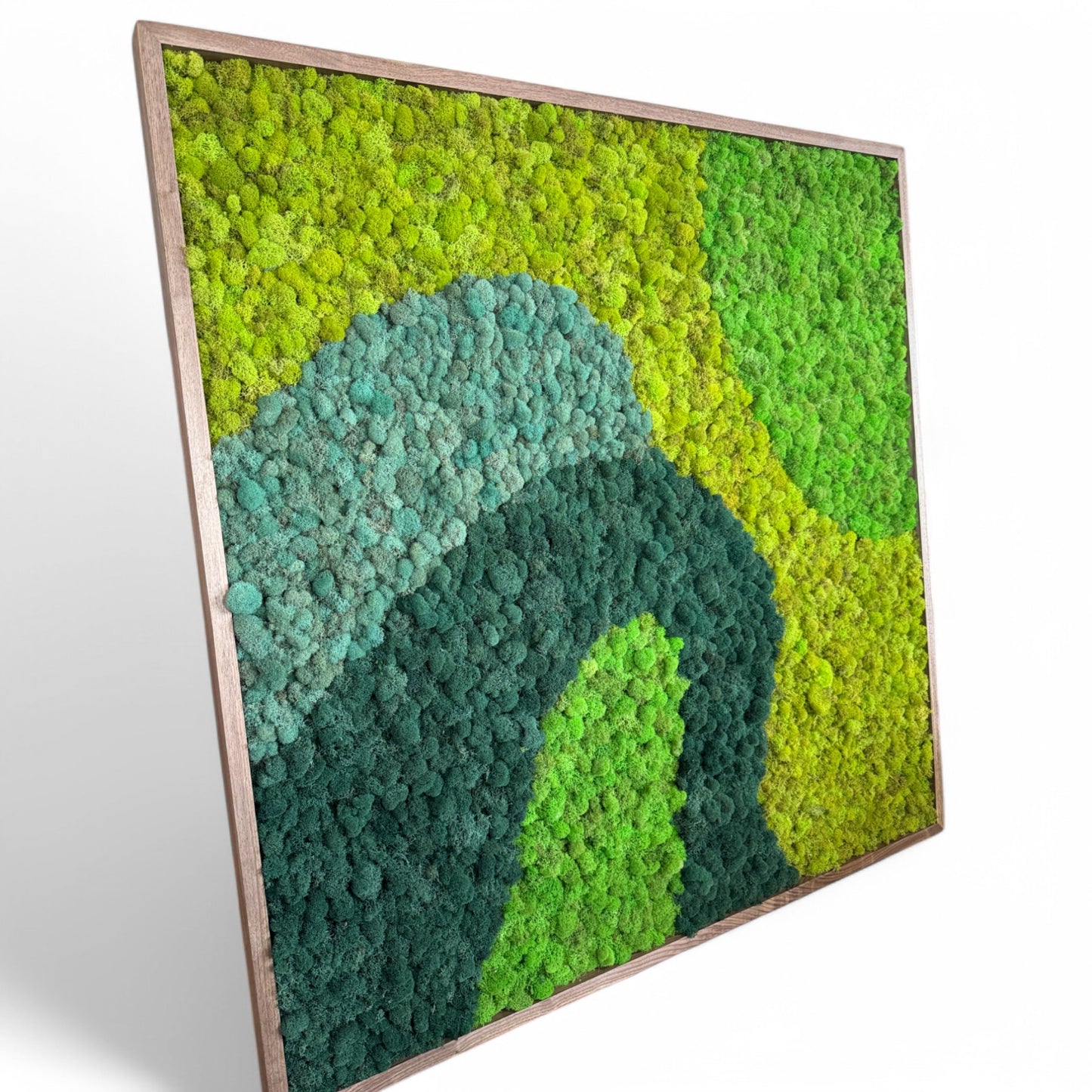 Wavey Stream Moss Art Frame (One Piece)