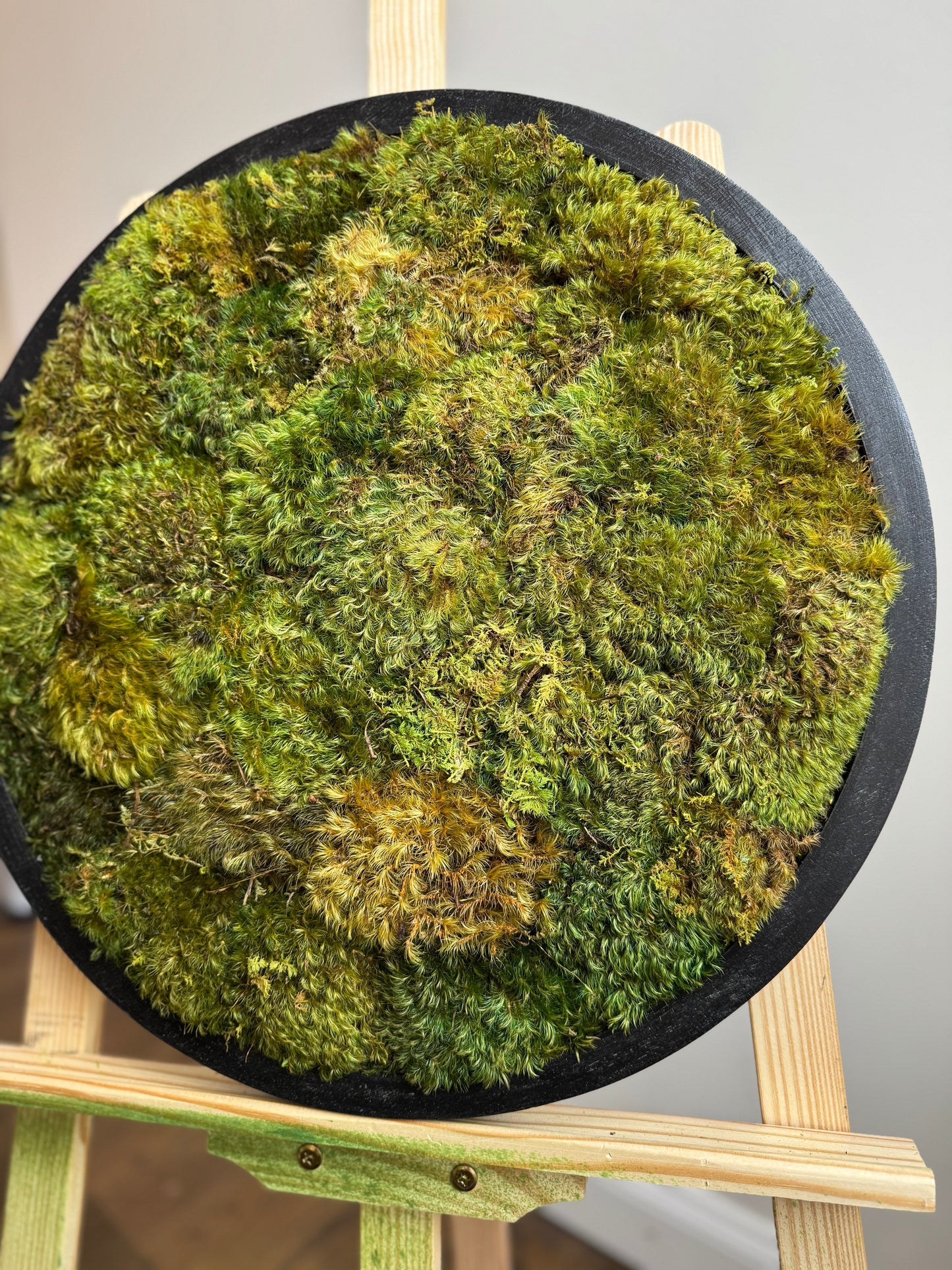 Yellow Mounds Moss Art Circle Frame, Black Frame (One Piece)
