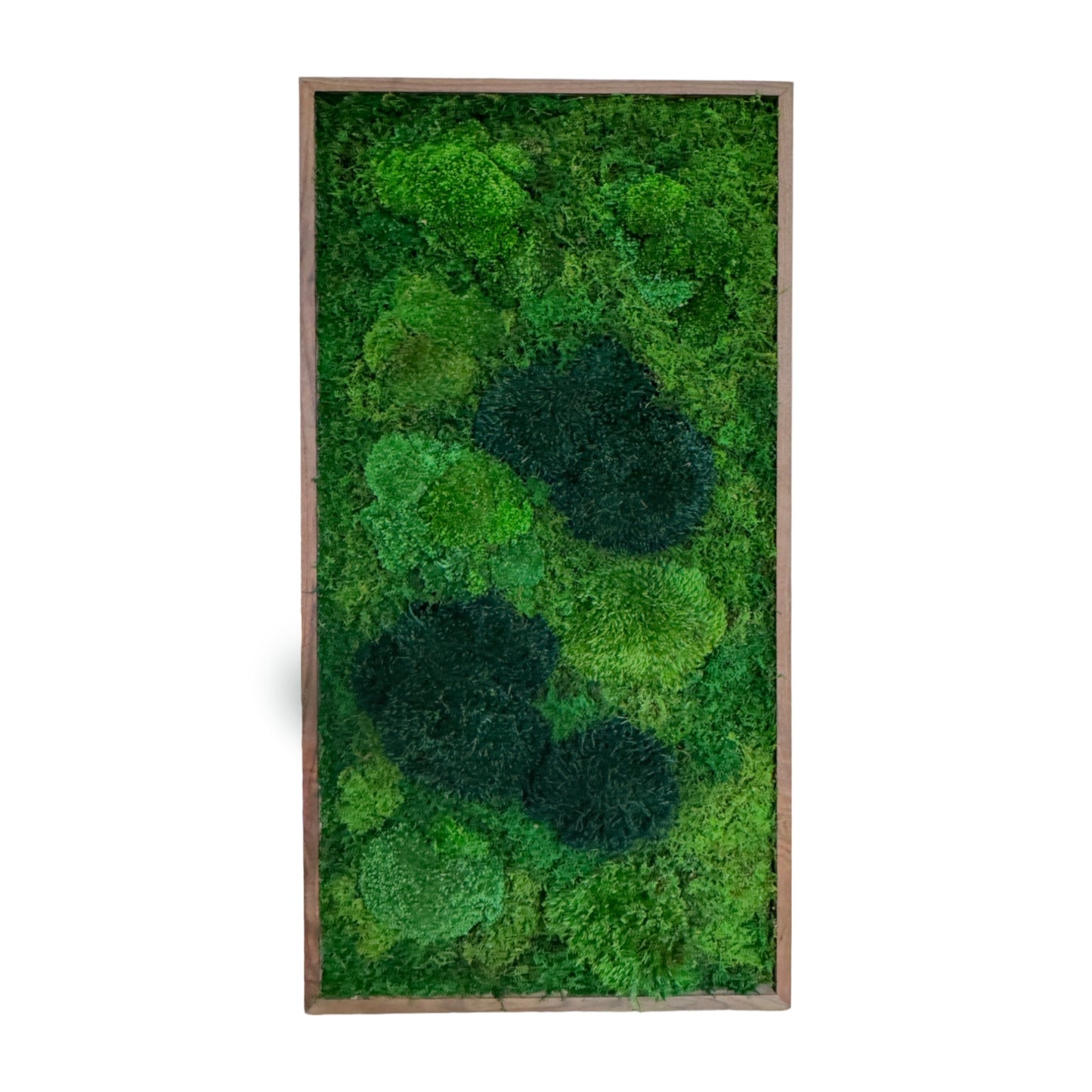 Moss Art Frame - Topography Boulders