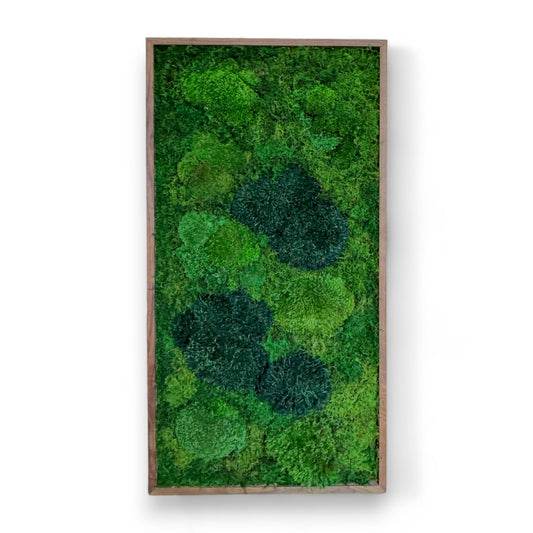 Moss Art Frame - Into the Forest