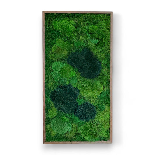 Moss Art Frame - Topography Boulders