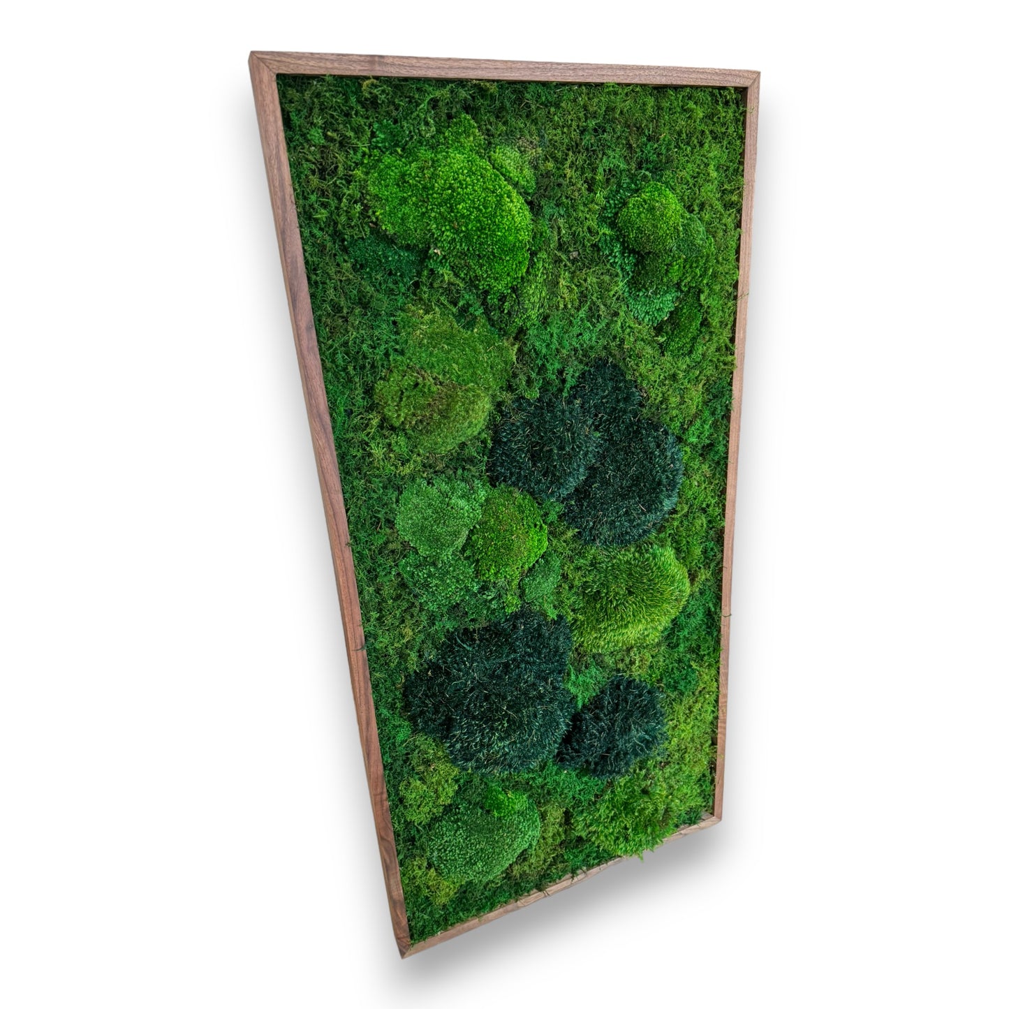 Moss Art Frame - Topography Boulders