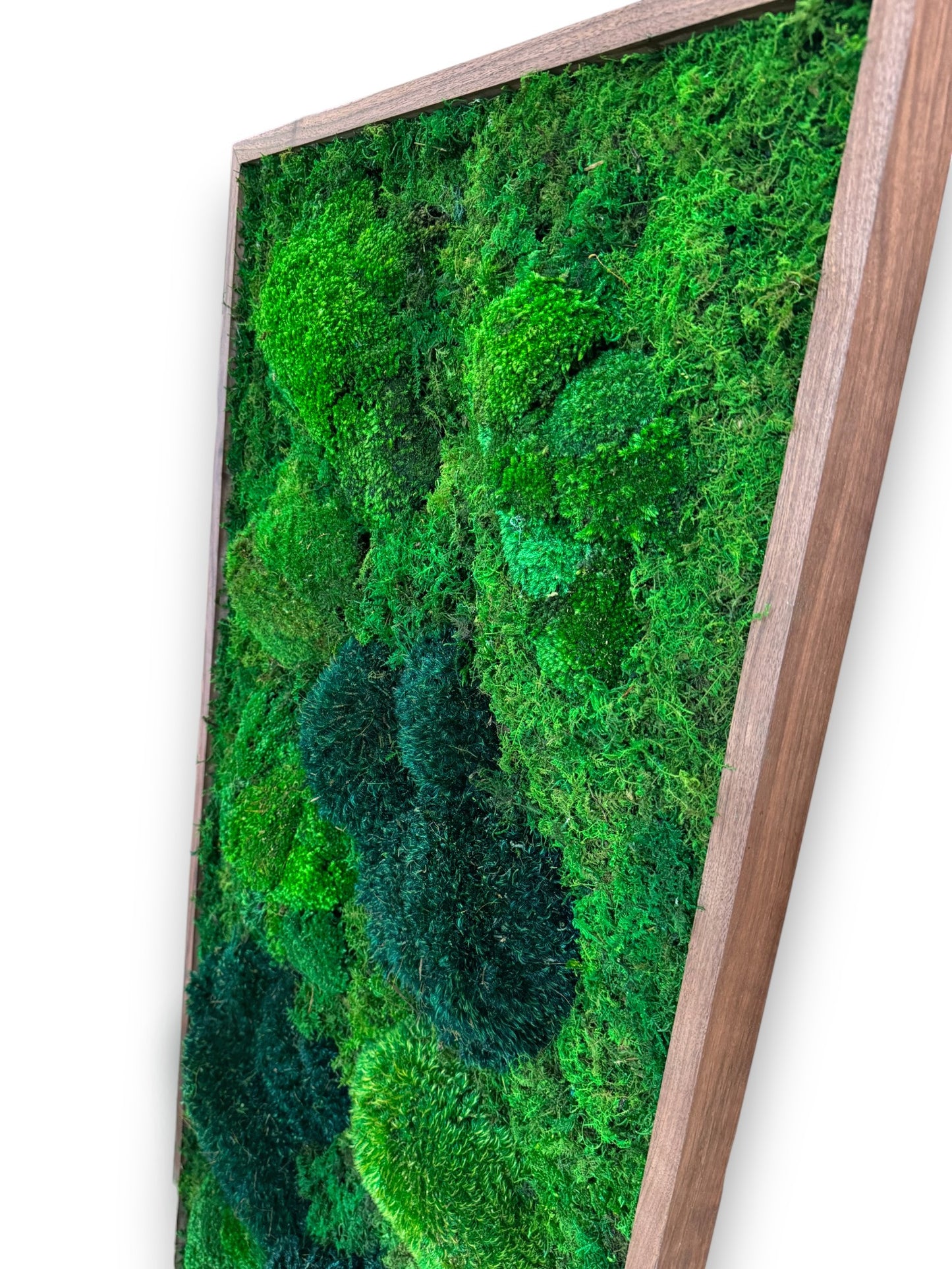 Moss Art Frame - Topography Boulders