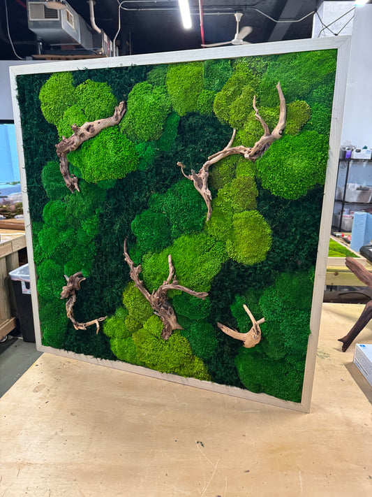 Rustic Woods Moss Art Frame