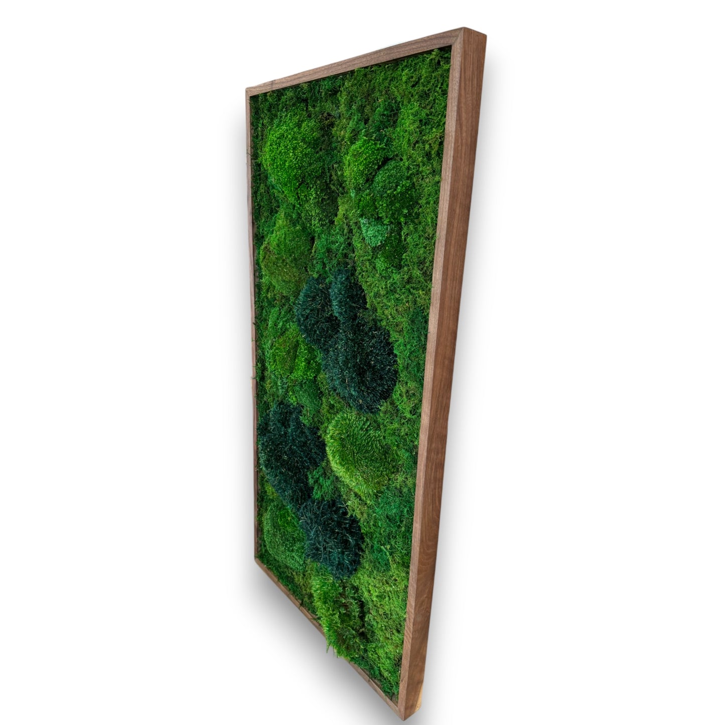 Moss Art Frame - Topography Boulders