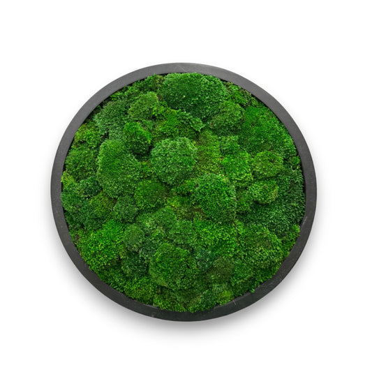 Circle Moss Art Frame with Mood Moss (Black Frame)