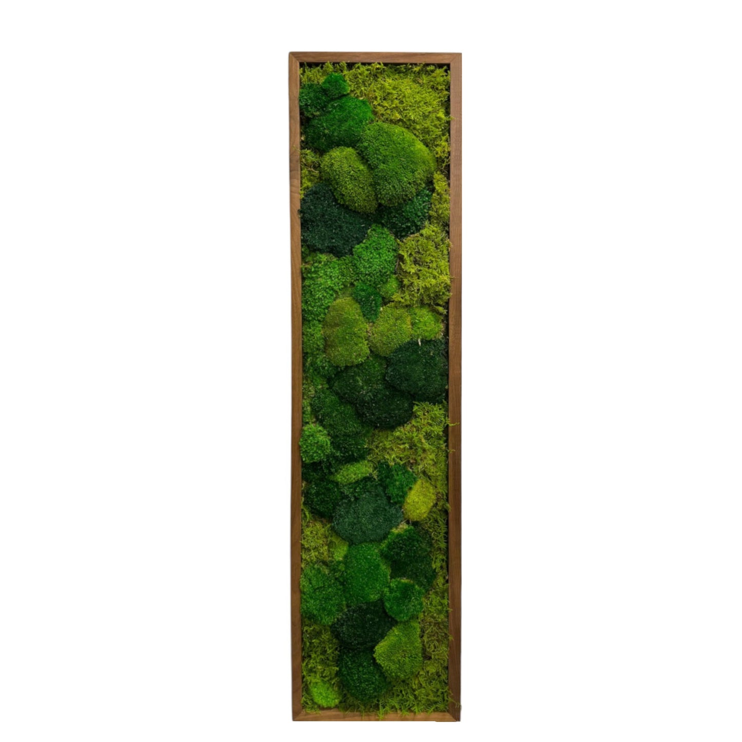 The Forestry Moss Frame