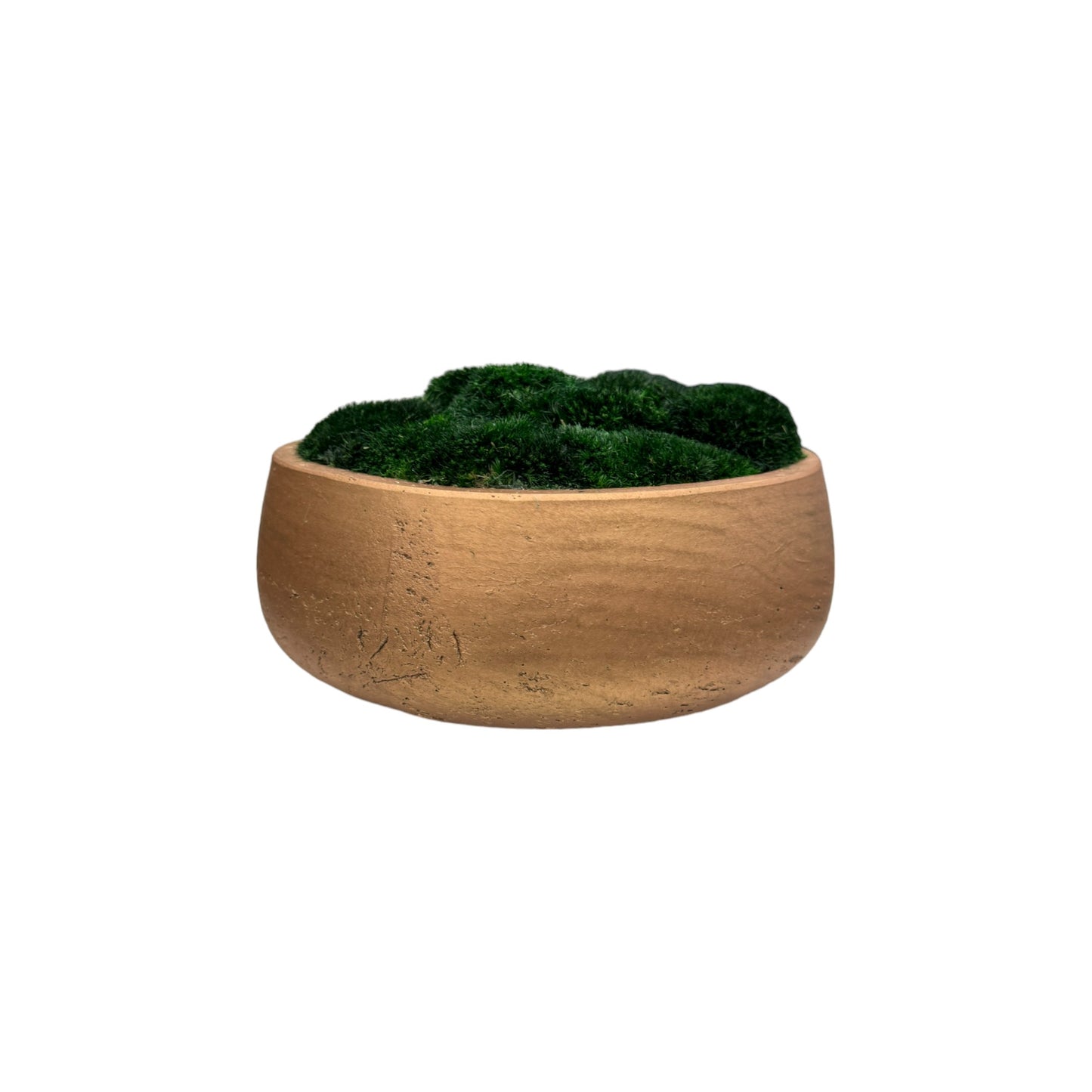 The Golden Copper Moss Bowl - Dark Green