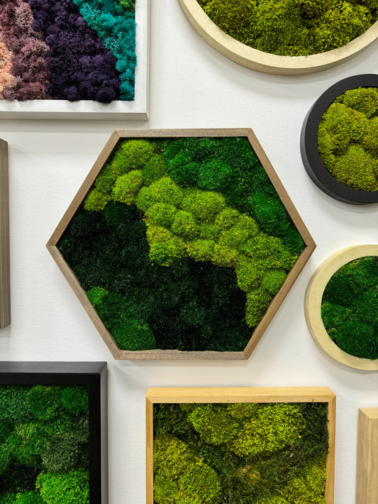 Hexagon Moss Art Frame - Green Delight