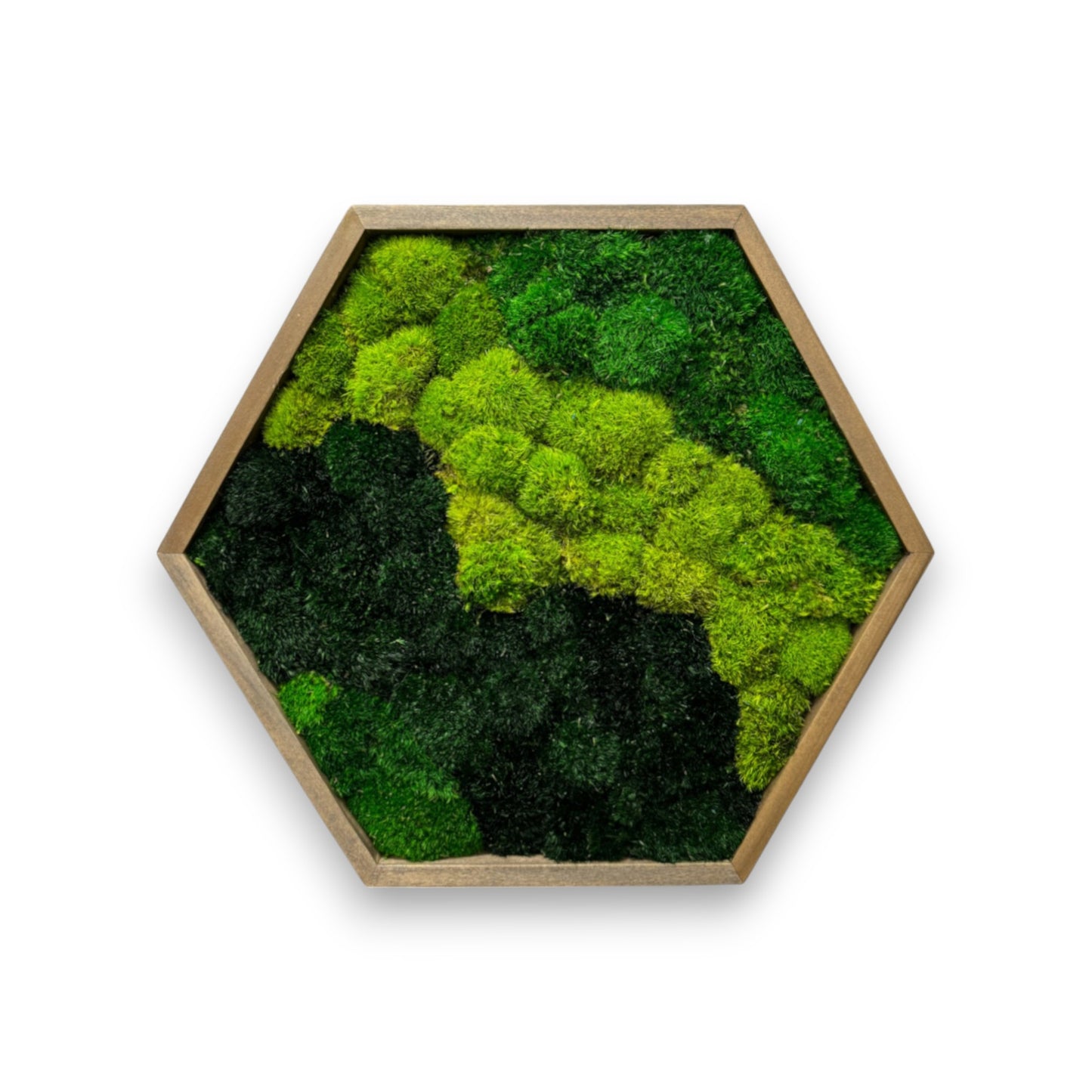 Hexagon Moss Art Frame - Green Delight