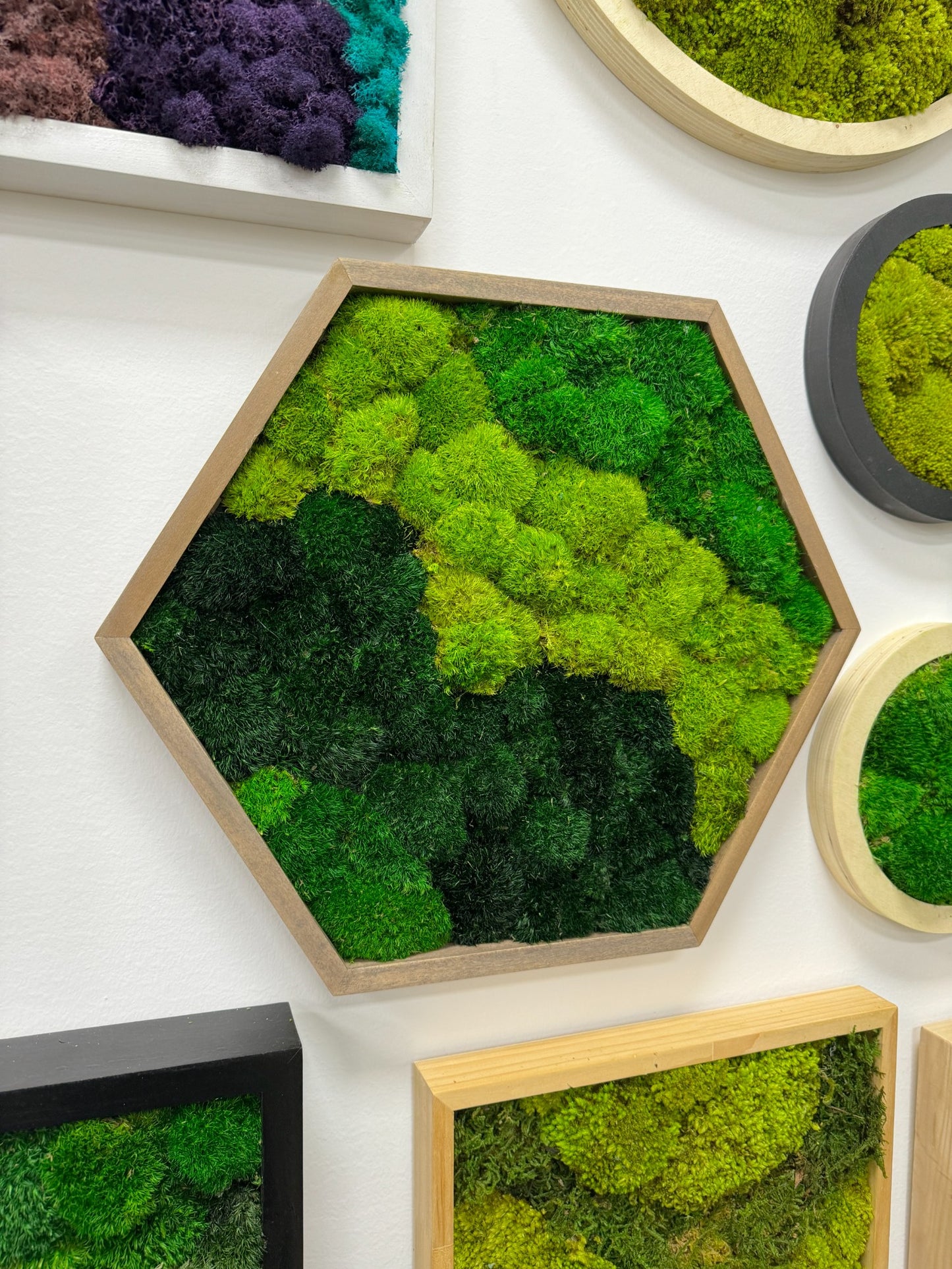 Hexagon Moss Art Frame - Green Delight