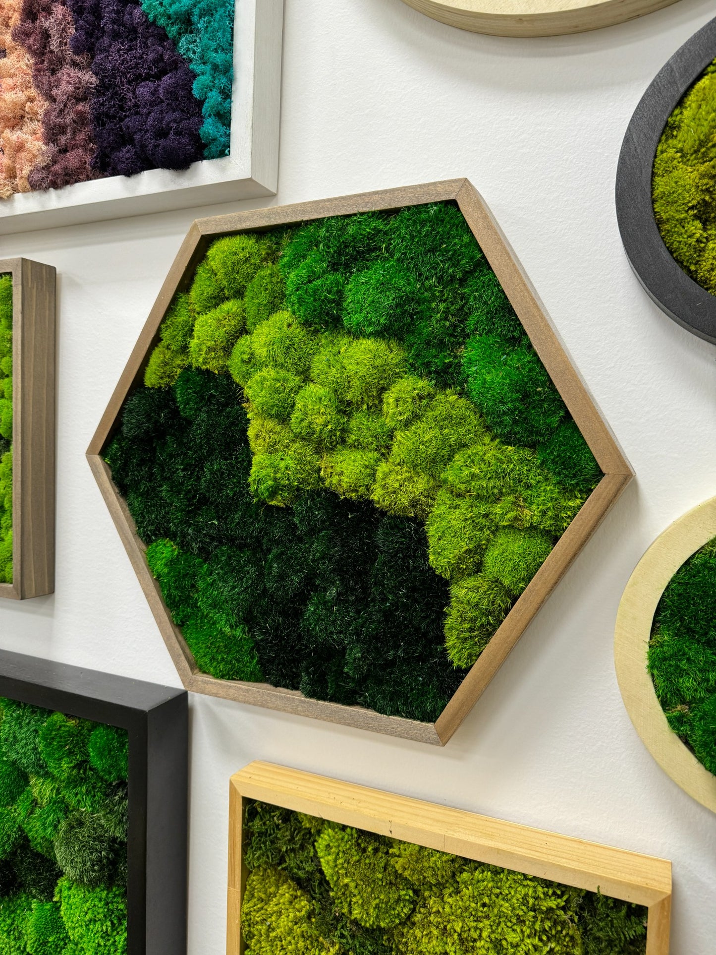 Hexagon Moss Art Frame - Green Delight