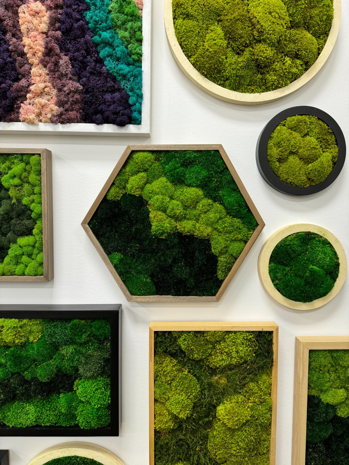 Hexagon Moss Art Frame - Green Delight