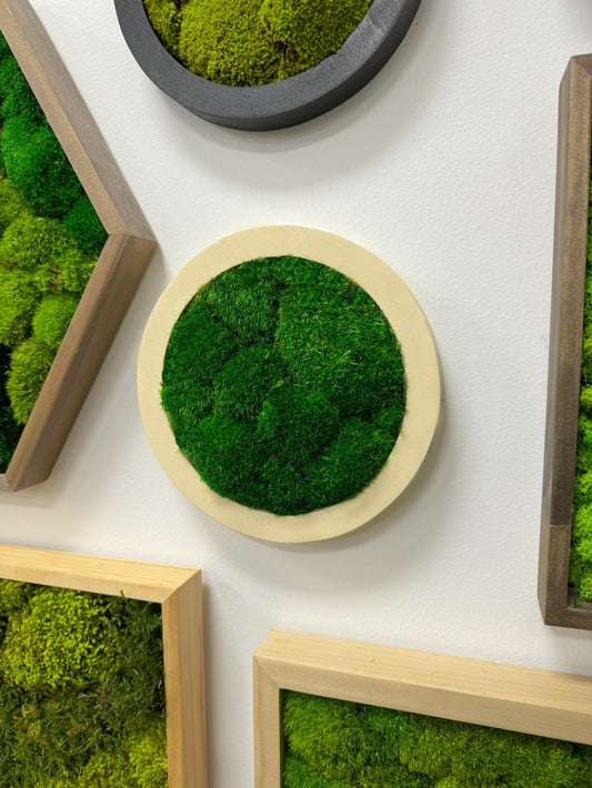 Circle Moss Art Frame with Mood Moss (Natural Frame) Medium Green