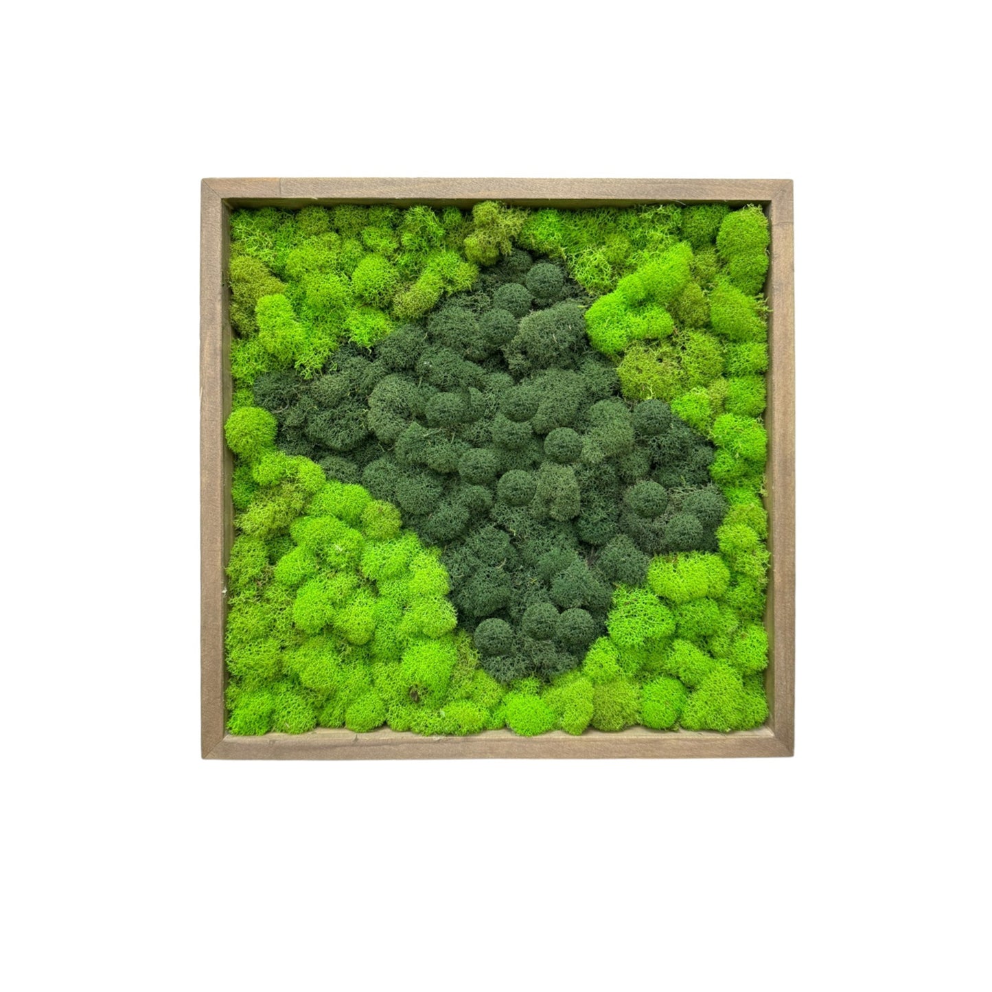 Reindeer Moss Art Frame - Starry Green