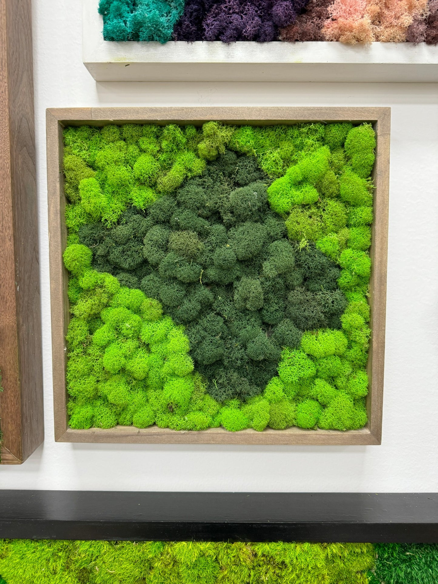 Reindeer Moss Art Frame - Starry Green