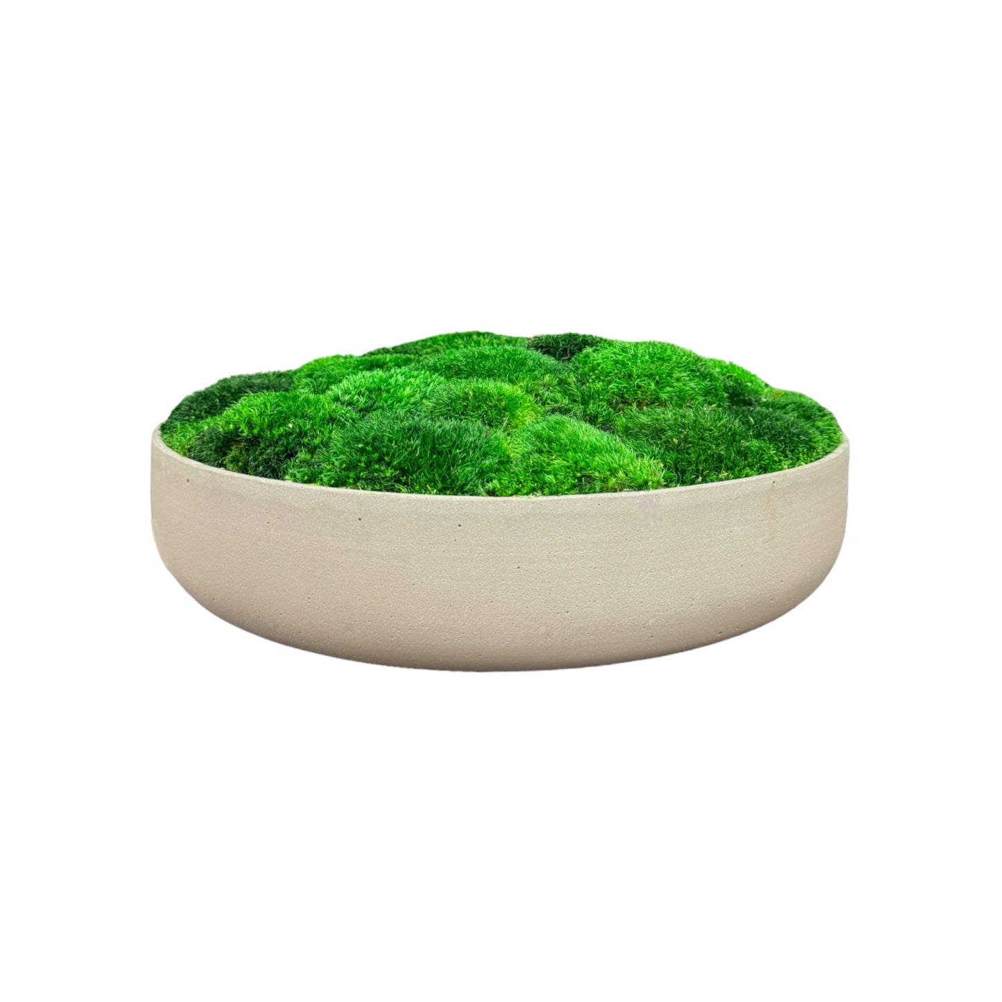 Modern Slim Moss Bowl