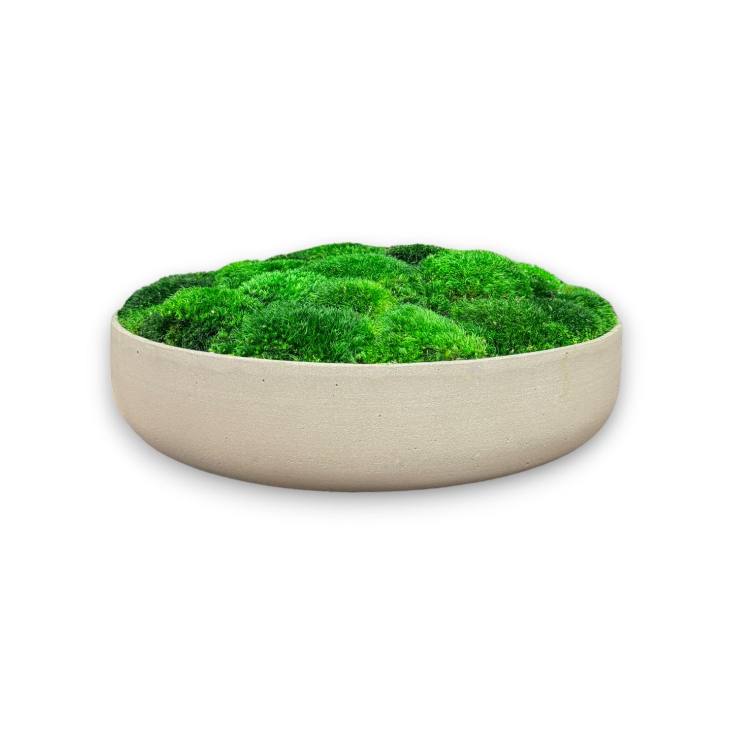 Modern Slim Moss Bowl