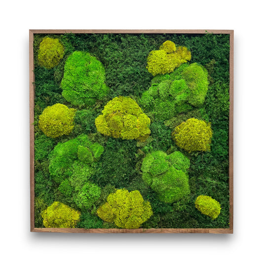 Aerial View Moss Frame