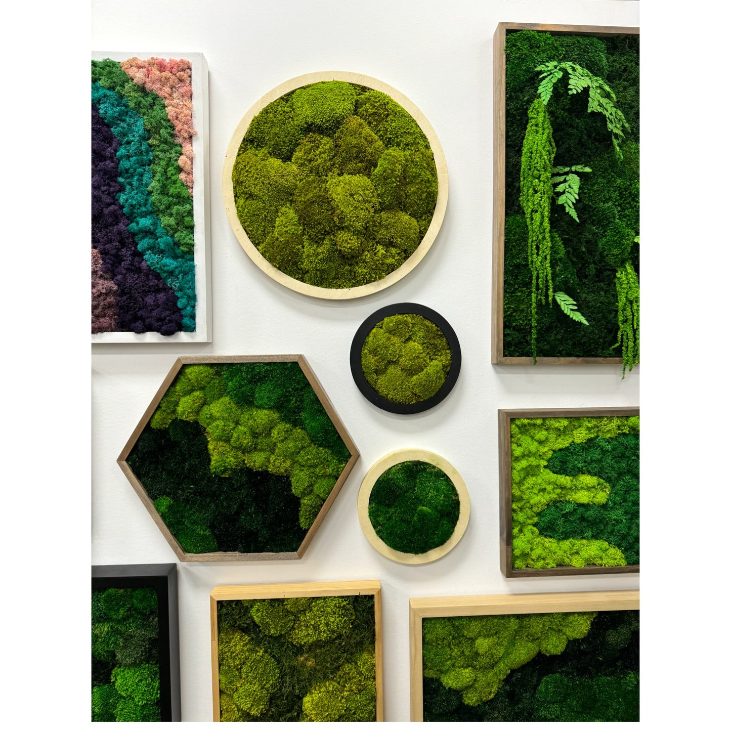 Moss Art Frame - The Tropicana