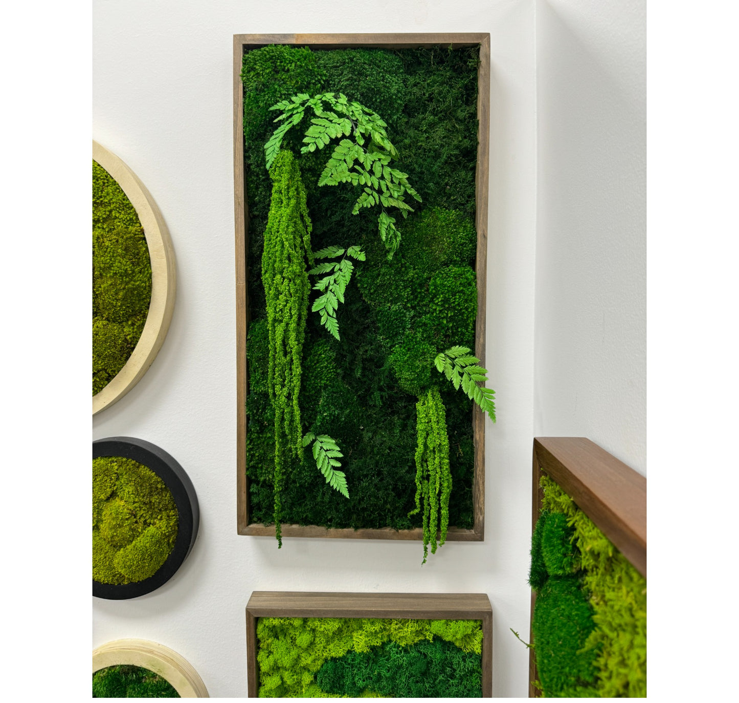 Moss Art Frame - The Tropicana