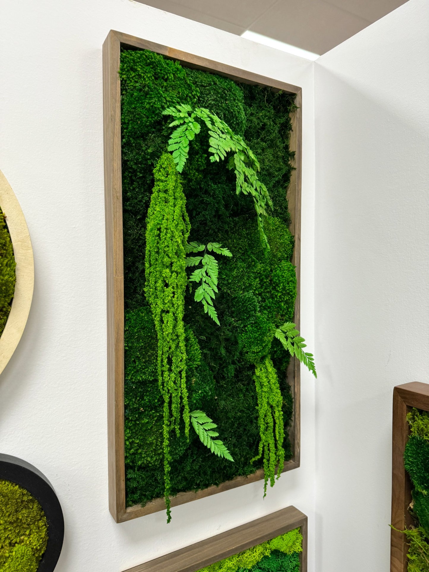 Moss Art Frame - The Tropicana