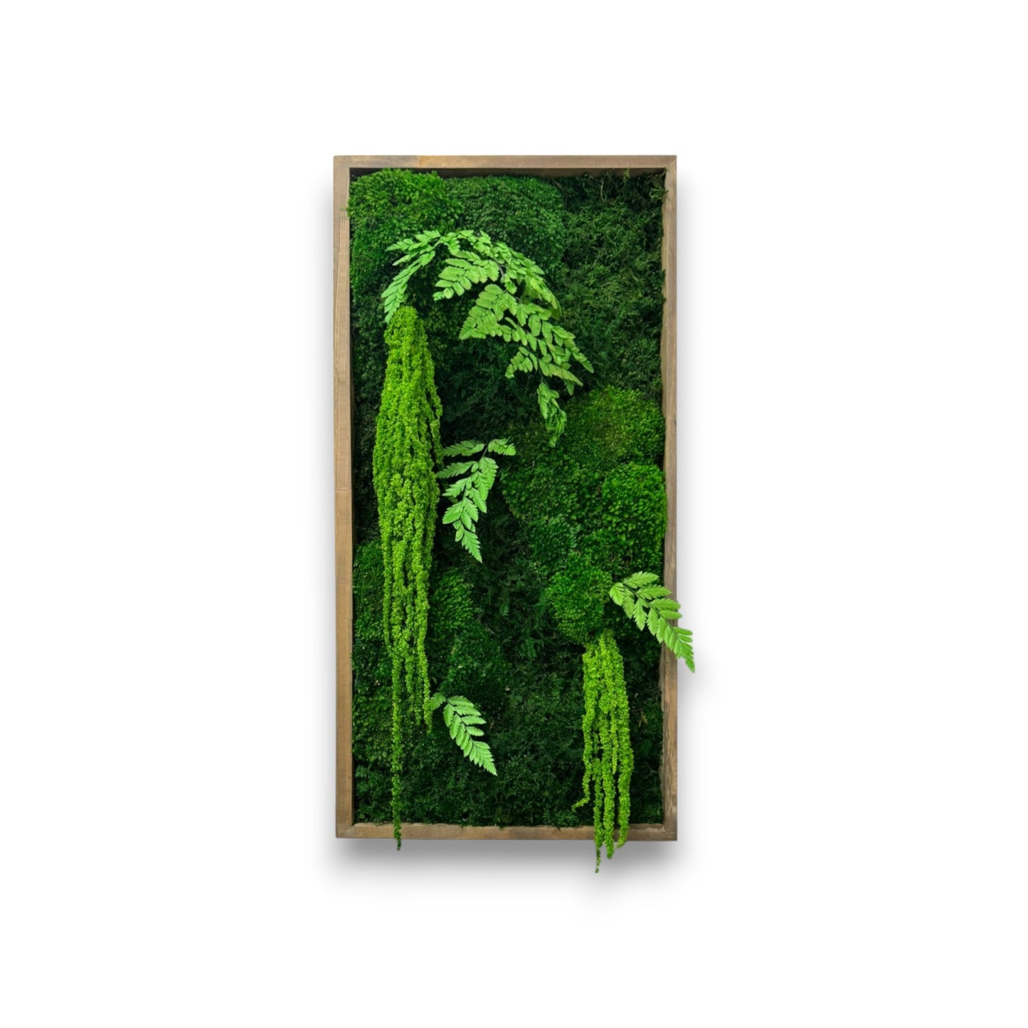 Moss Art Frame - The Tropicana