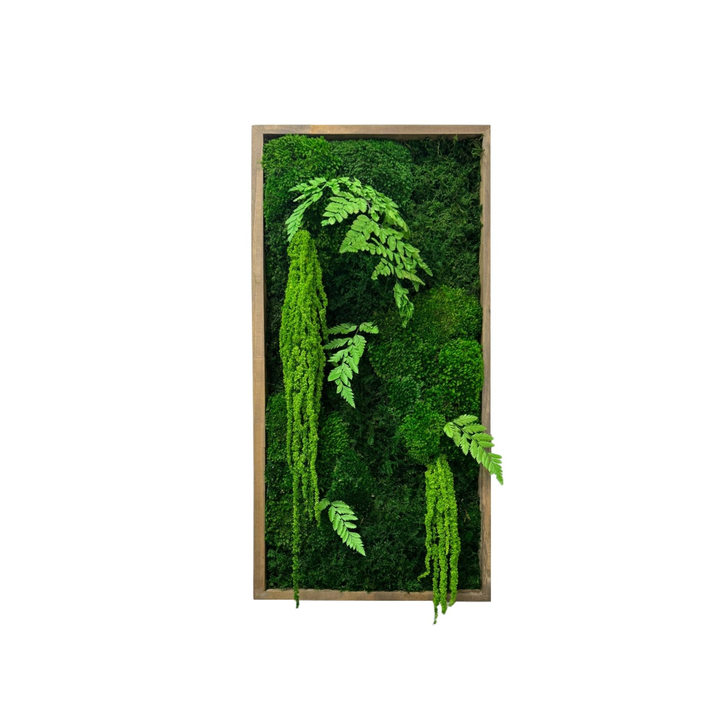 Moss Art Frame - The Tropicana