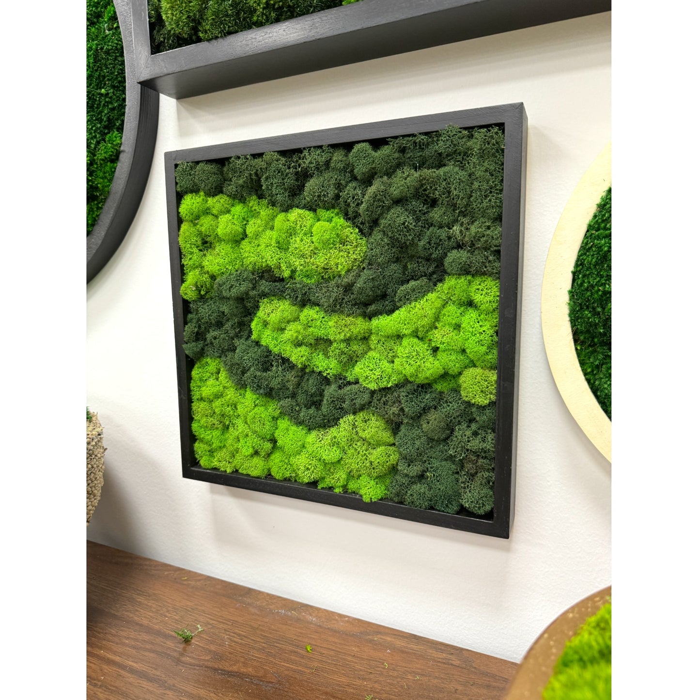 Reindeer Moss Frame - The Wavy