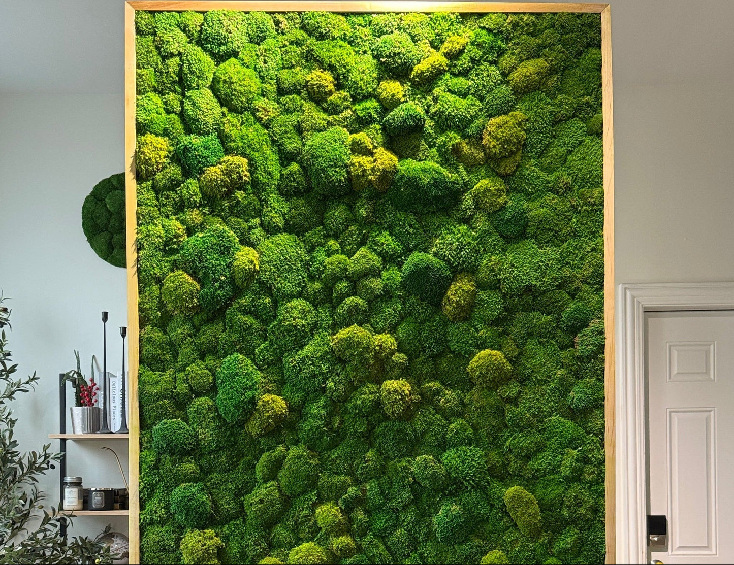Moss wall art displayed in a room with a door and decor.