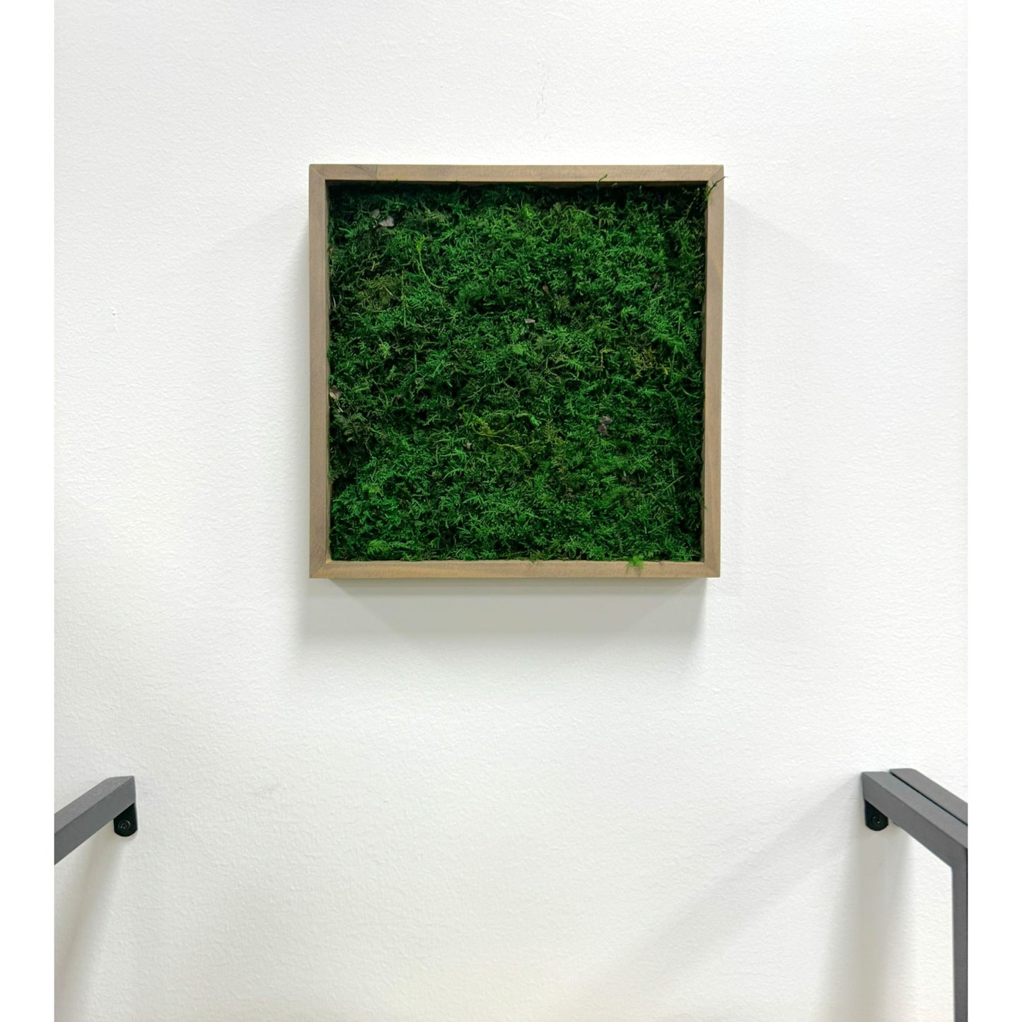 Reindeer Moss Frame - Minimalist Sheet Moss