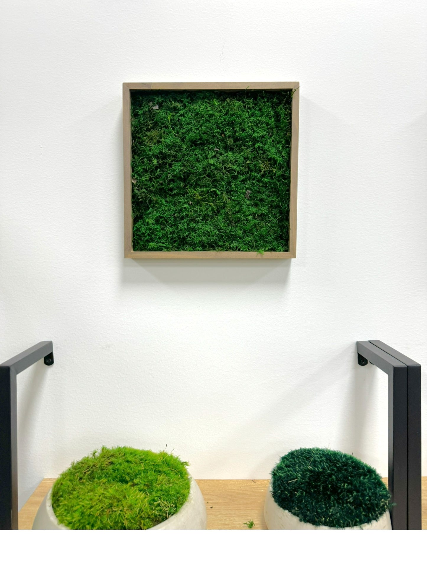 Reindeer Moss Frame - Minimalist Sheet Moss