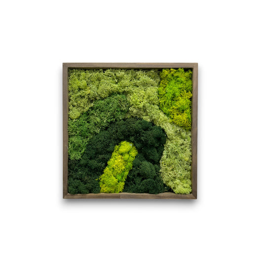 Reindeer Moss Art Frame - Wavey Stream