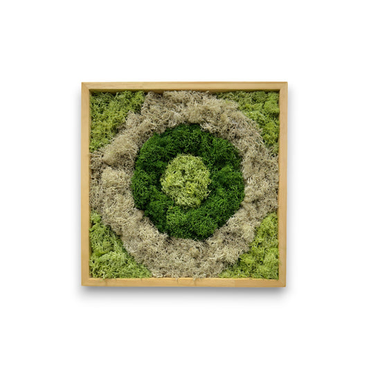 Reindeer Moss Art Frame - Bull's Eye