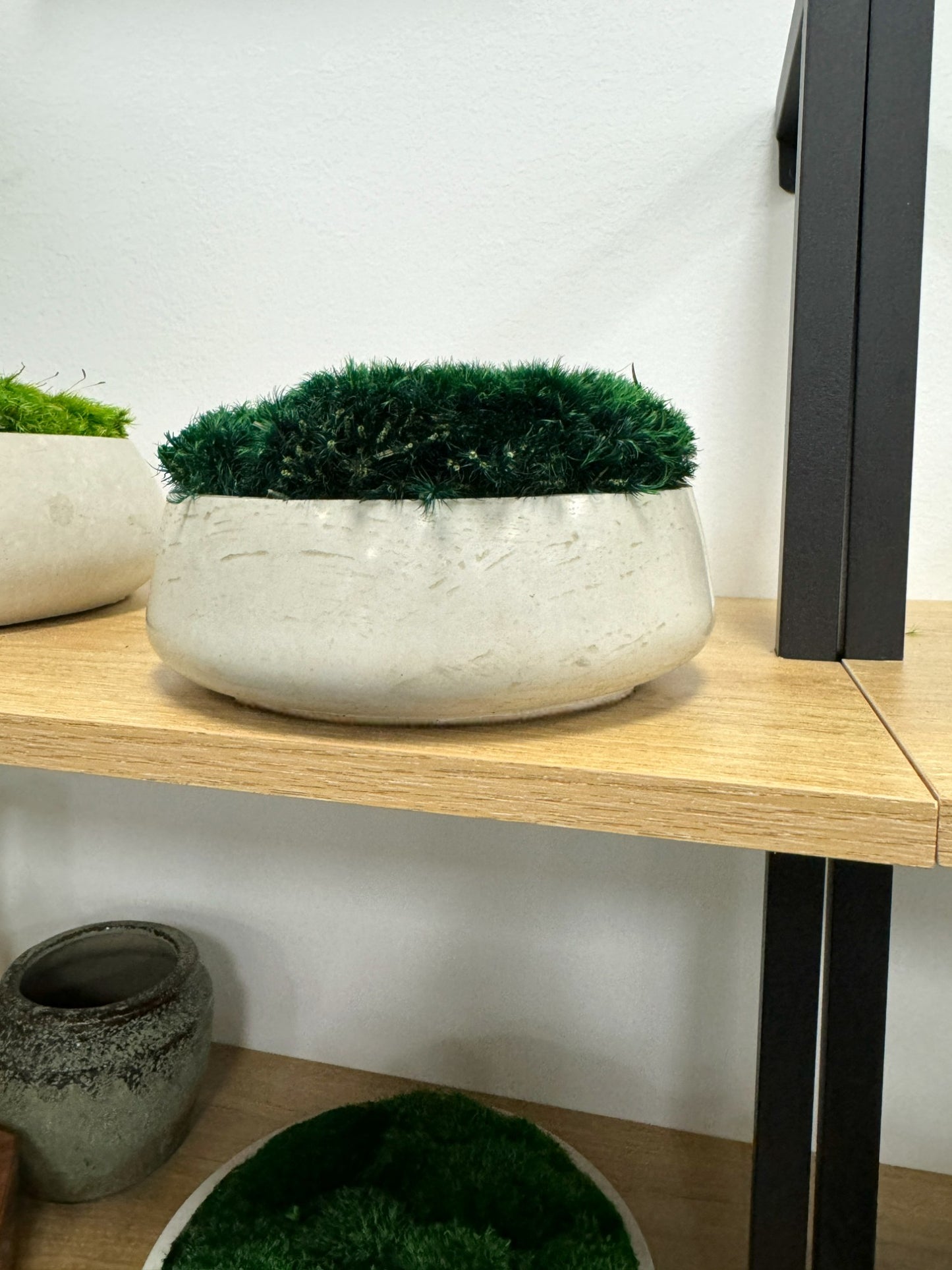 Concrete Moss Bowl 7.5" (Fluffy Moss)