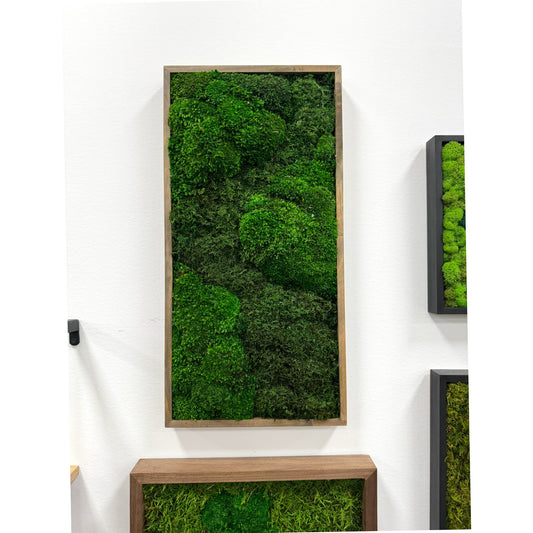 Moss Art Frame - The Prairie Fields