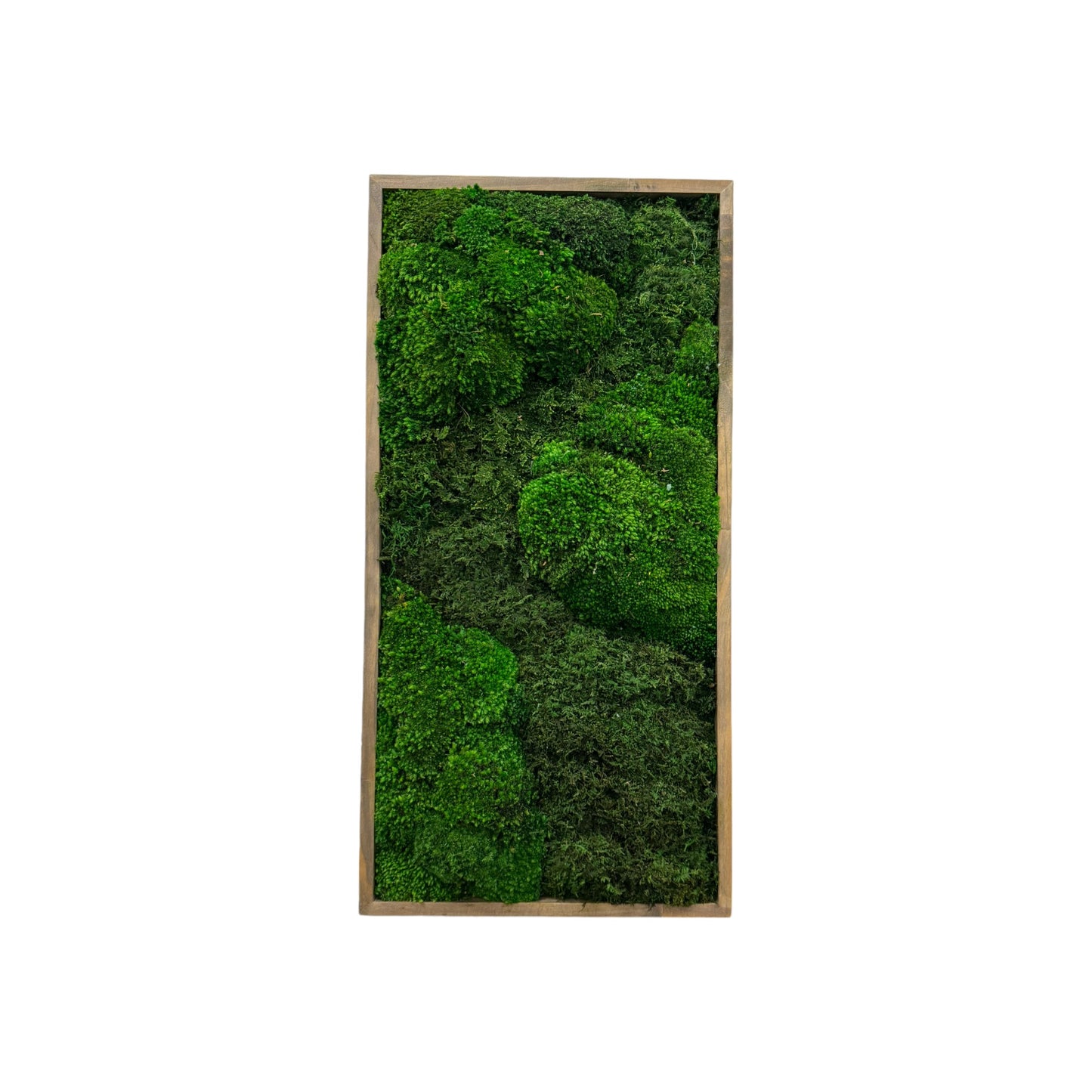 Moss Art Frame - The Prairie Fields