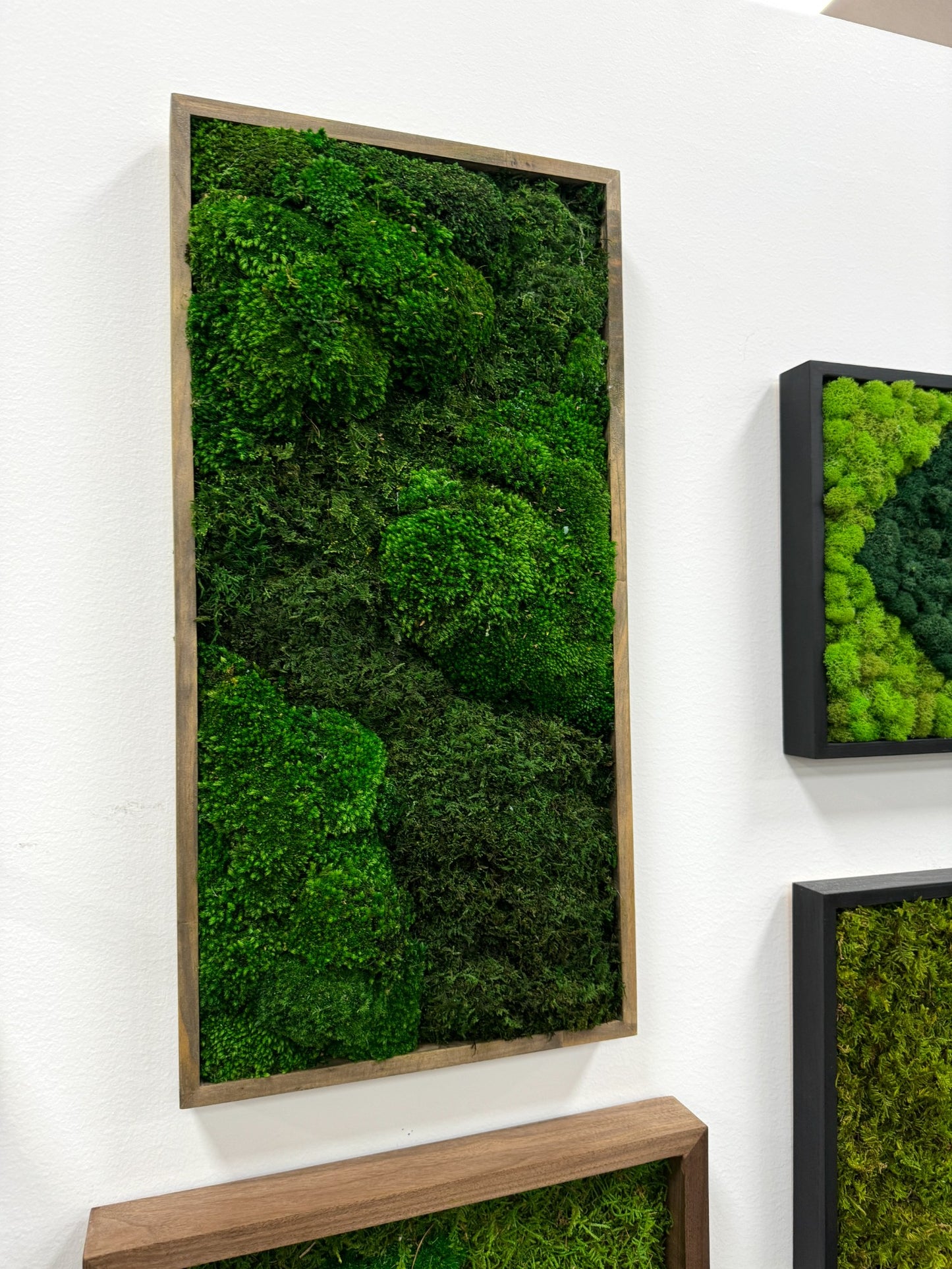 Moss Art Frame - The Prairie Fields