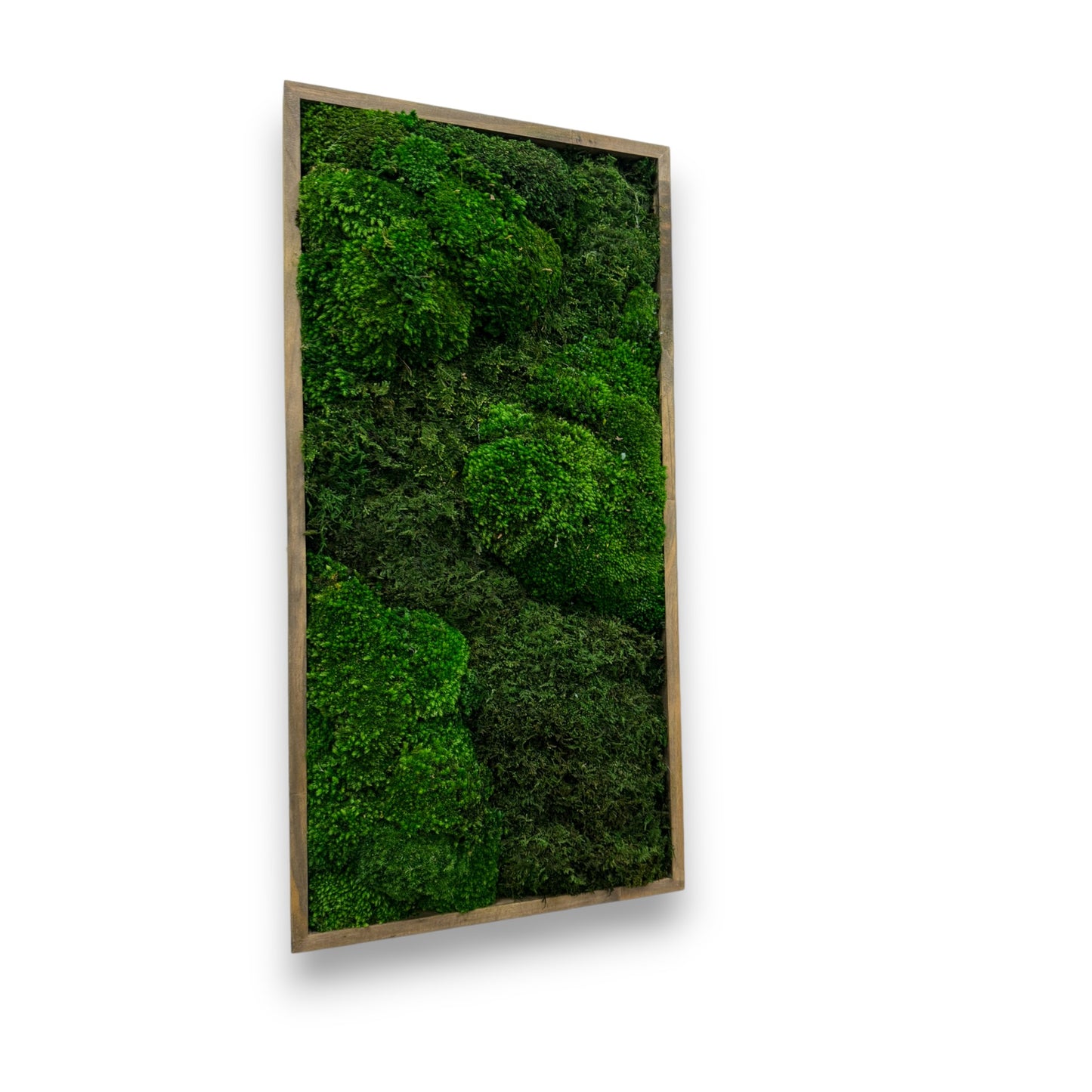 Moss Art Frame - The Prairie Fields